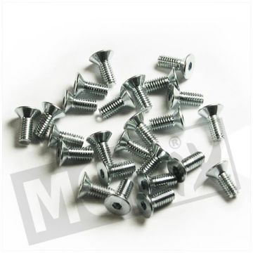 REMPOMP-DEKSEL SCHOEF M4x10 (25)-214756b