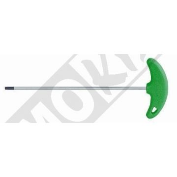 T-GREEP TORXSLEUTEL         TX25