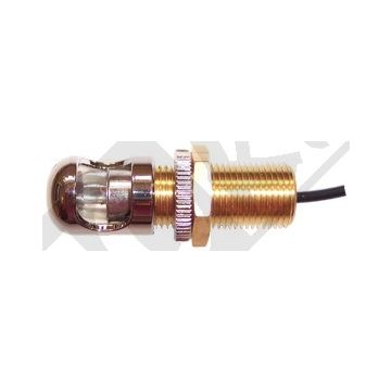 KENTEKEN SCHROEF LAMP      12V3W