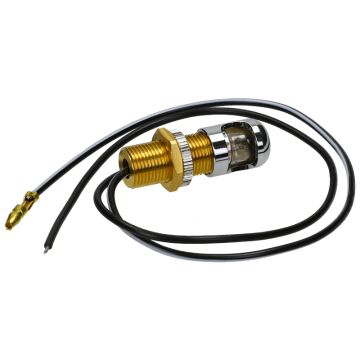 KENTEKEN SCHROEF LAMP      12V3W