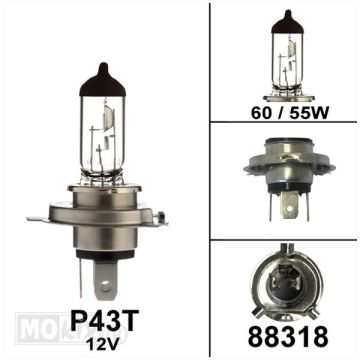 Lamp 12V 60/55Watt halogeen P43t H4 Bosma
