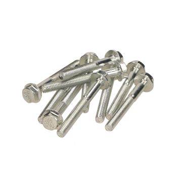 Flens bouten M6x50mm lengte (SW10) blank 10 stuks onder andere frame