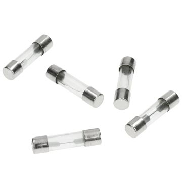 Glaszekeringen 10 ampere 24.5mm lengte dikte 6mm 5 stuks