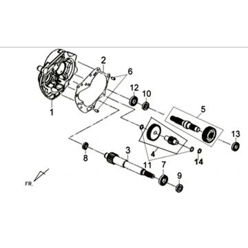 Vertanding - Overbrenging Sym XPRO 50 4-takt AC Euro 4