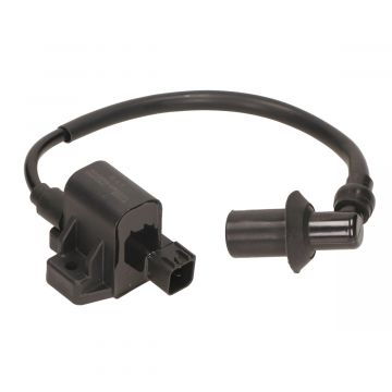 Bobine/CDI-unit DJJD Cashmere 10 inch 45km/u Euro5