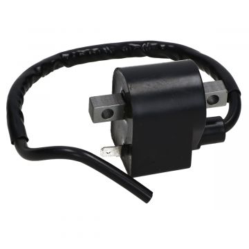 Bobine/CDI-unit Suzuki TSX/TS 50/AX 100-115/DS 80/JR 80/RMX 50/SMX 50/TS 125