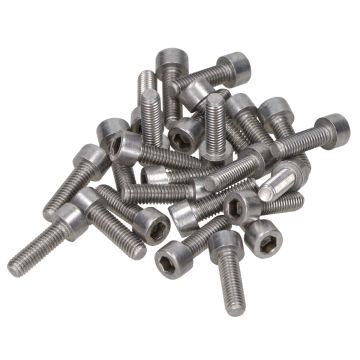 Bout Inbus M6x20mm roestvrijstaal 25 stuks