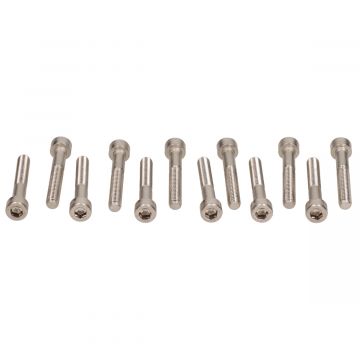 Inbusbout m6x40mm roestvrijstaal 12 stuks