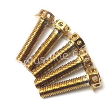 Bout m6x30 goud 10 stuks