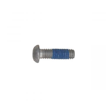 Platkopbout remschijf M6x20mm Piaggio Zip 4-takt/Zip SP 2006→/LX/LXV/S/GTS/GTVX7-8-9-10/MP3/Liberty/Fly/Beverly/Runner/Sport City One 667152 origineel