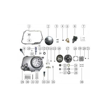 Carter - Oliepomp AGM Caferacer 50 4-takt AC