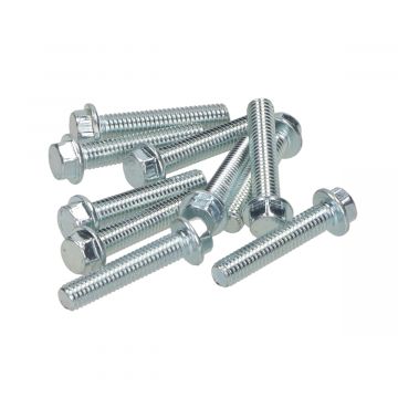 Carterbouten/flensbouten M6x30mm DMP 10 stuks blank