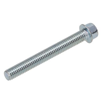 Carterbouten/flensbouten M6x50mm DMP 10 stuks blank