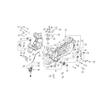 Carter - Oliepomp - Inlaatspruitstuk Kymco B&W 50 2-takt LC zilver