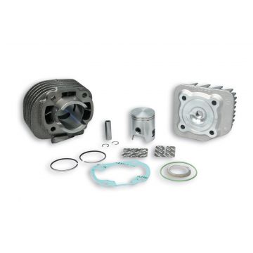 Cilinder met cilinderkop -Malossi 50 Sport- Minarelli AC horizontaal 318562
