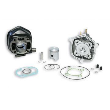 Cilinder met cilinderkop -Malossi 50 Sport- Minarelli LC horizontaal 318556