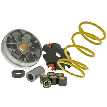 Variateurkit -Malossi Multivar 2000- Honda 50 2-takt - Dio SP/Dio SR/Vision 50/Vision Met In 50/Wallaroo/Peugeot Rapido/ST50 517073