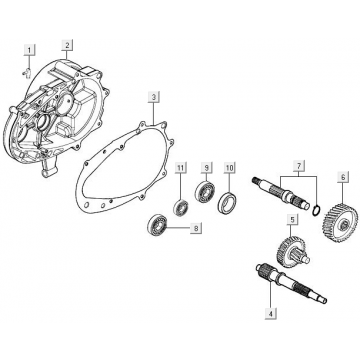 Vertanding - Overbrenging Kymco Agility 16+ 150i Euro 4