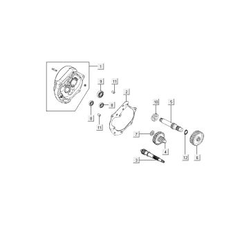 Vertanding - Overbrenging Kymco Agility RS 4-takt wit 09