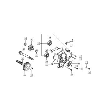 Vertanding - Overbrenging Kymco DJ 2-takt Zilver Vertanding - Overbrenging Kymco DJ 2-takt Zilver