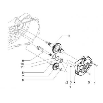 Vertanding - Overbrenging Piaggio Zip 2000 2-takt AC