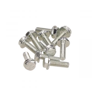 Flens bouten M6x20mm lengte (SW10) blank 10 stuks onder andere frame