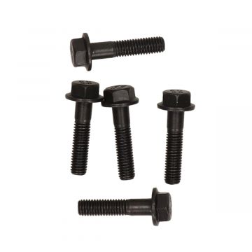 Flens frame bout SW13 M8x35 zwart 5 stuks