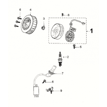 Ontsteking - Stator - Vliegwiel - Bobine - Pick up Peugeot Kisbee 4-takt Euro 5