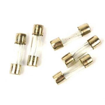 Glaszekeringen 10 ampere 24.5mm lengte dikte 6mm 5 stuks
