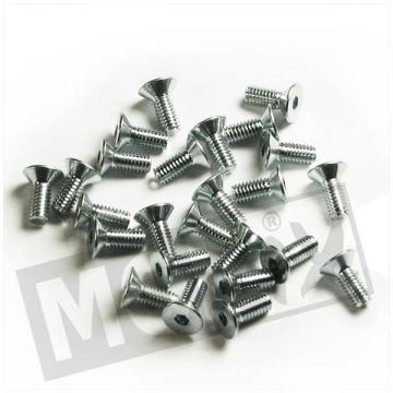 REMPOMP-DEKSEL SCHOEF M4x10 (25) -214756