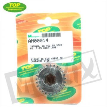 TANDWIEL 5e VERSN/SECUNDAIR Z=25
