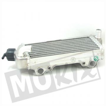 Radiator Rieju MRT