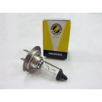 Lamp PX26d H7 12V 55W-16H1255