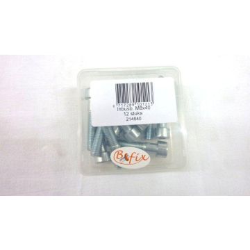 Inbusbout m8x40mm 12 stuks