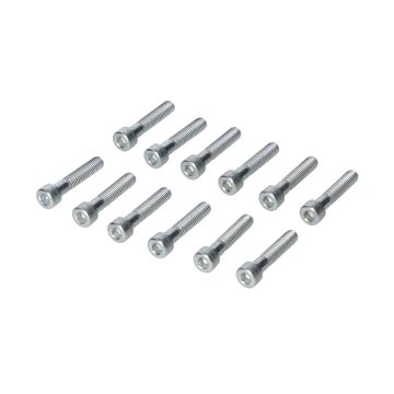 Inbusbout M8x40mm lengte (12 stuks) Bollard