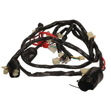 Kabelboom AGM R8 / BTC R8 Euro 4 origineel