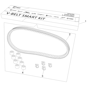 Kit V-snaar en variateurrollen Piaggio MP3 500 LT Business 2014-2016