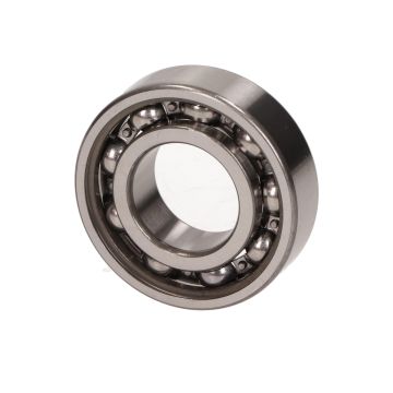 LAGER SKF       6004