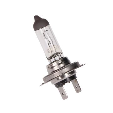 Lamp 12V halogeen 55W h7 px26d Trifa