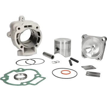 Cilinder met cilinderkop -Malossi 172 cc- Piaggio LC Maxi 2-takt 125/150/180 motorblok Runner/FX/FXR/Hexagon/LX/LXT/Dragster 3111140