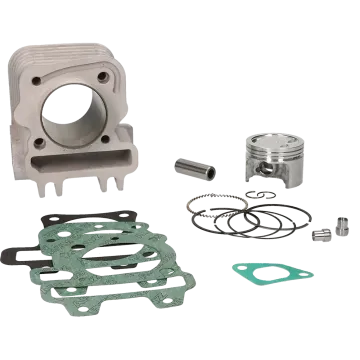 Cilinder Malossi 80cc 49mm Piaggio 50 4-takt 2V-3V-4V 3117771 Zip/Sprint/Primavera/LX/LXV/S/ET4/Liberty/Fly/Centro/Ciak/Torpedo/Sportcity One/Scarabeo