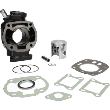 Cilinder Honda MBX/MTX80 LC 110cc 53mm 313738 Malossi