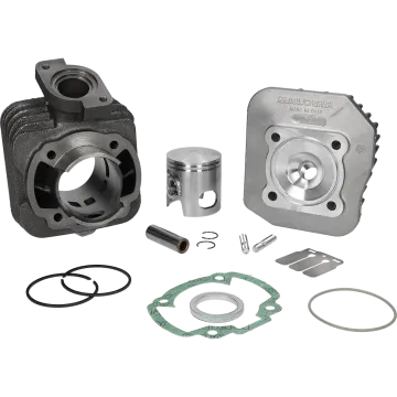 Cilinder met cilinderkop Malossi 70cc 47mm Sport Peugeot 50 2-takt AC verticaal Buxy/Elyseo/Elystar/Looxor/Speedake/Speedfight 1-2/X-Fight/Squab/TKR/SC/Vivacity/Trekker/Zenith 317133