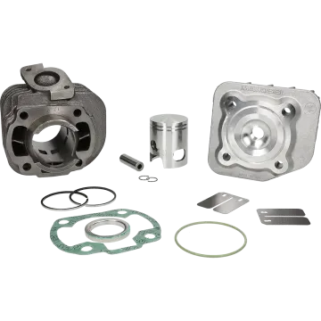 Cilinder met cilinderkop -Malossi 50 Sport- Minarelli AC horizontaal 318562