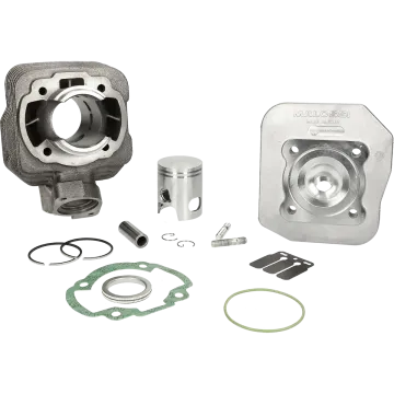 Cilinder met cilinderkop -Malossi 50 Sport- Peugeot AC verticaal - Buxy/Elyseo/Elystar/Looxor/Speedake/Speedfight 1-2/Squab/TKR/SC/Vivacity/Trekker/Zenith/SV