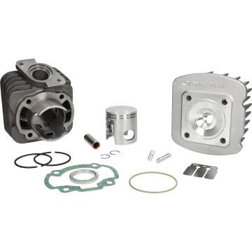 Cilinder met cilinderkop -Malossi 70 cc Sport- Honda AC Bali/SFX 318734