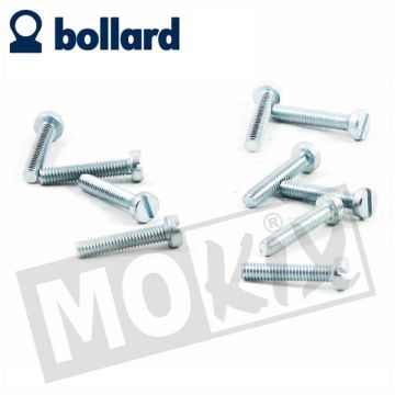 metaalschroef M4x40 ELVZ 10 stuks