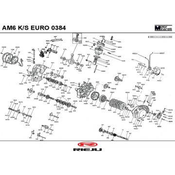 Motorblok in delen Rieju Rs2 pro oranje 2009 2-takt