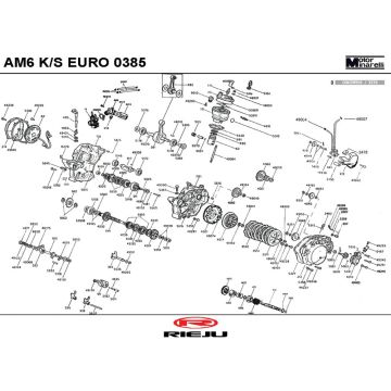 Onderdelen motorblok Rieju Tango 50 2-takt LC rood 2008