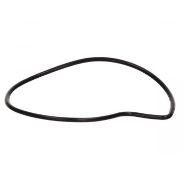 O-ring voor waterpomp Piaggio motorblok 4-takt 125-180-200-200-250-300cc 485080 origineel